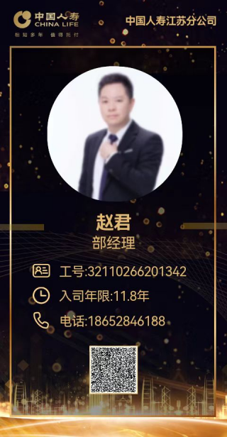 【合伙代理人】赵君